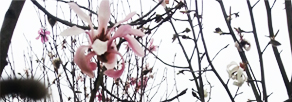 對(duì)員工的認(rèn)識(shí)